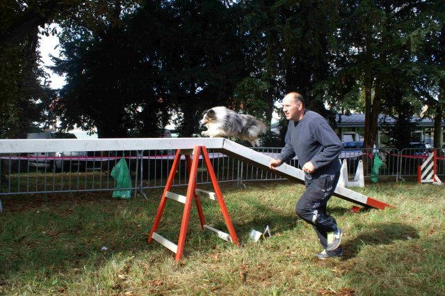 foire-haricots 2011-09-17et18